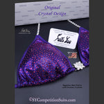 Sale Competitin Bikini, Eggplant Mist with Fuchsia Crystals